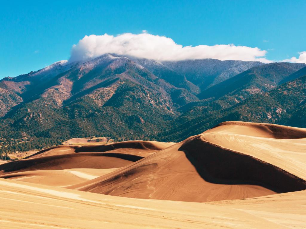 Great Sand Dunes National Park, Colorado with sandy dunes in the foreground and tree covered mountains behind above a blue sky.