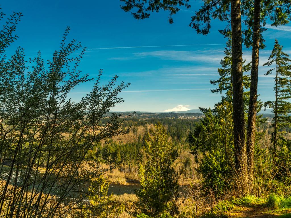 Lush forests and stunning views against blue skies across Milo Mclver State Park in Clackamas County, Oregon