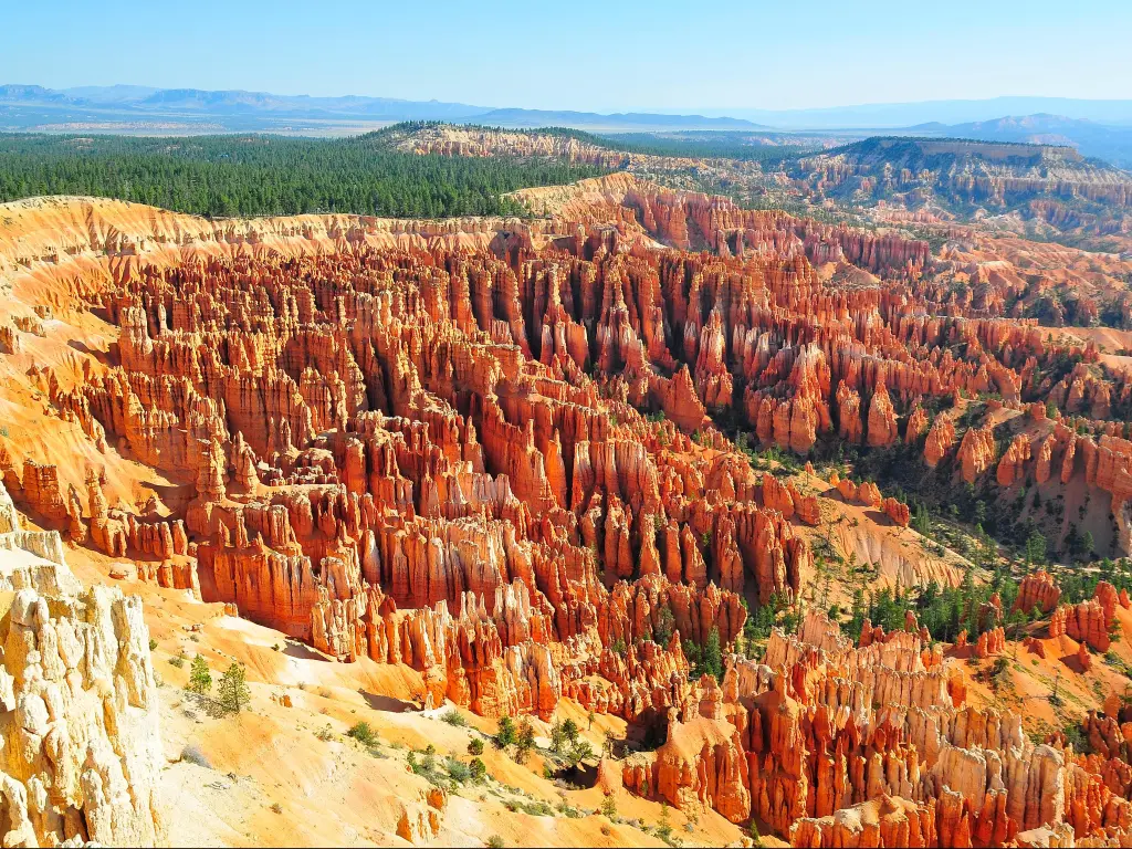 Bryce Canyon National Park, Utah, USA taken on a sunny day with the rock formations leading into the distance.