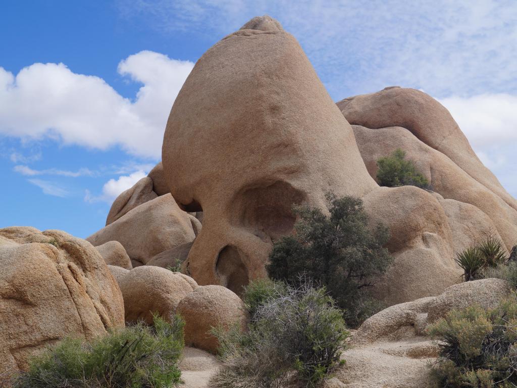 Skull Rock, Joshua Tree National Park, California, USA taken on a sunny day.