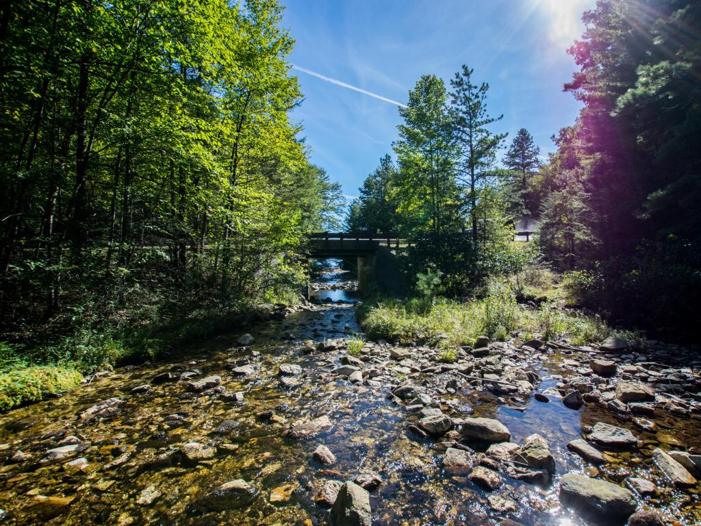 Michaux State Forest, Pennsylvania, USA taken overlooking the Long Pine Reservoir during summer with rocky water in the foreground, a bridge and trees in the distance. 