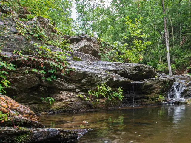 Cheaha State Park, Talladega National Forest, Alabama, USA with a scenic view of rock formations and lush forest in Devil's Den.