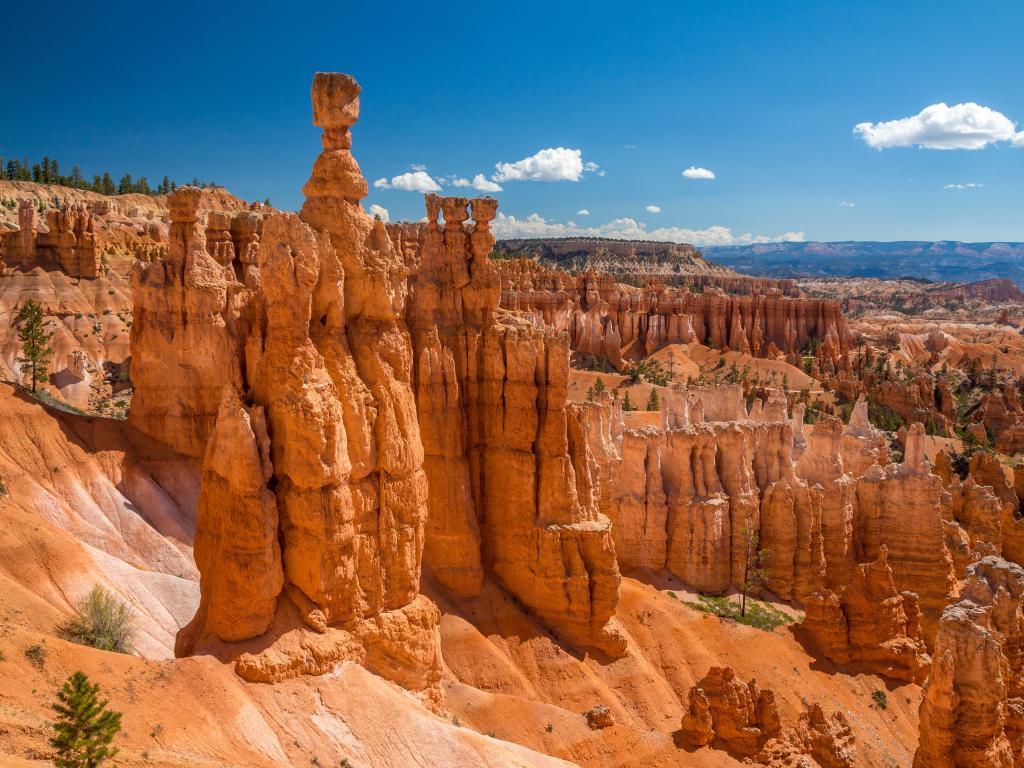 Rock formations along the Navajo Loop Trail in the Bryce Canyon National Park, Arizona