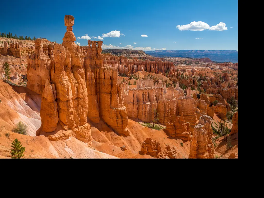 Rock formations along the Navajo Loop Trail in the Bryce Canyon National Park, Arizona