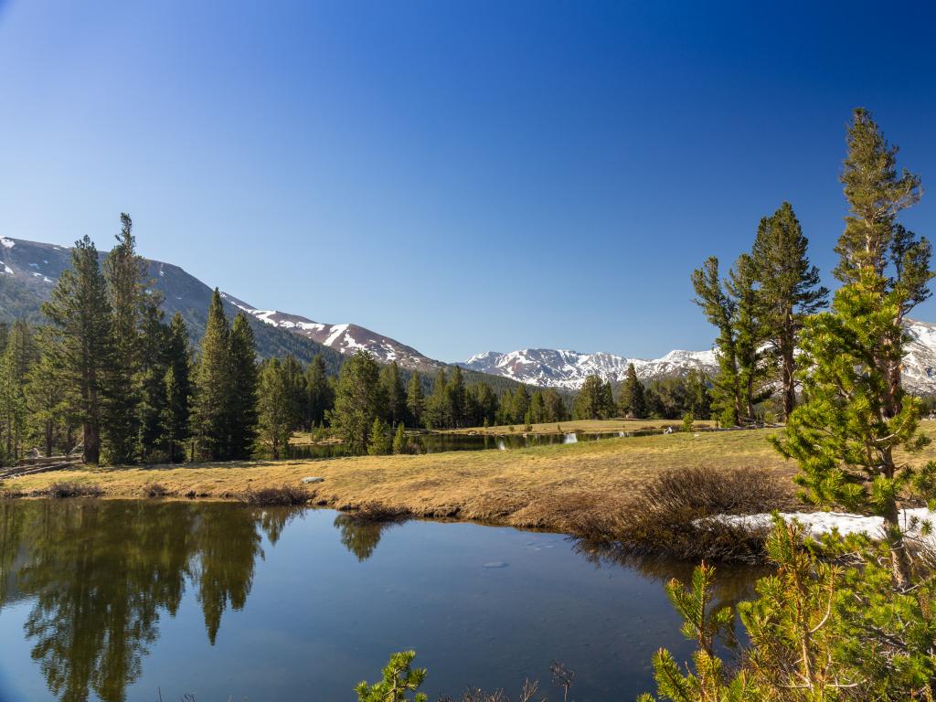 Views of snow-capped mountains, trees and a lake along the Tioga Pass through Yosemite National Park.