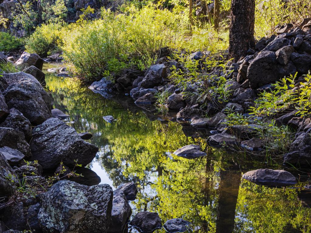 A reflecting pool along Billy Creek on the Moonridge trail in Pinetop-Lakeside, Arizona.