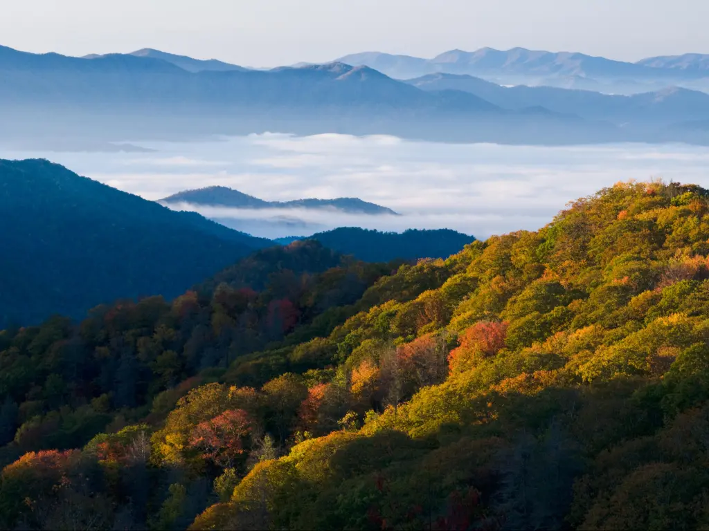 Fall colors in the Great Smoky Mountains National Park
