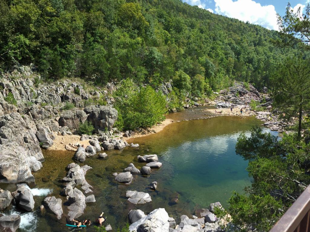 Johnson’s Shut Ins State Park Forest beside the water