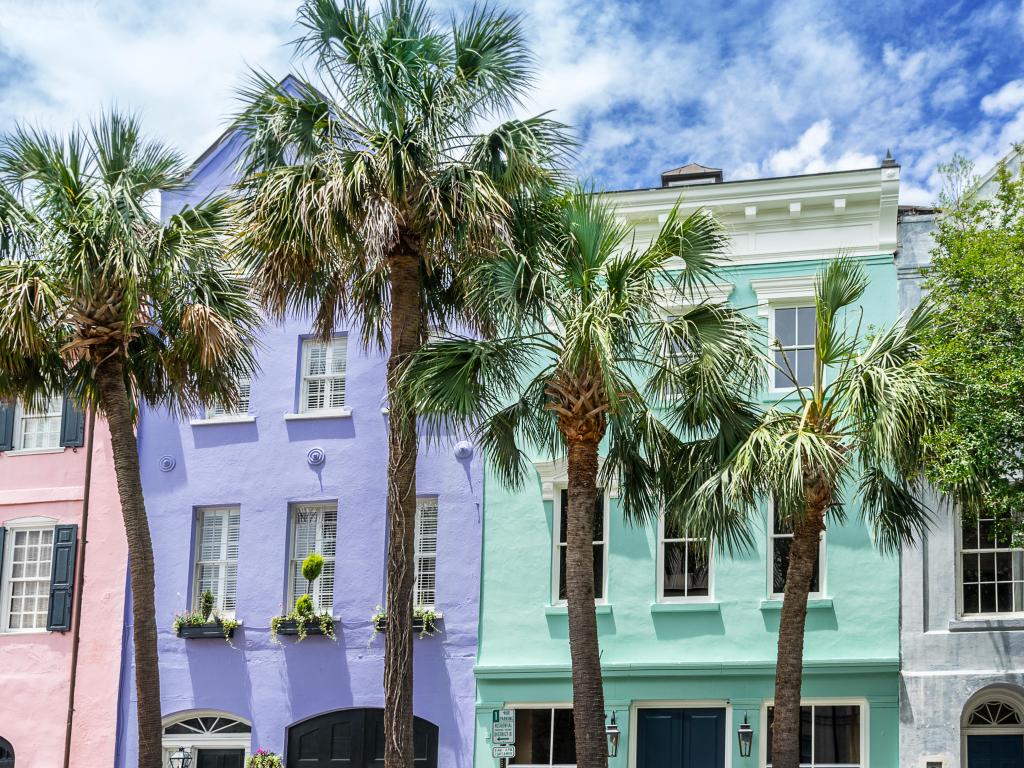 Palm trees in front of pastel-colored historic houses on Rainbow Row, Charleston