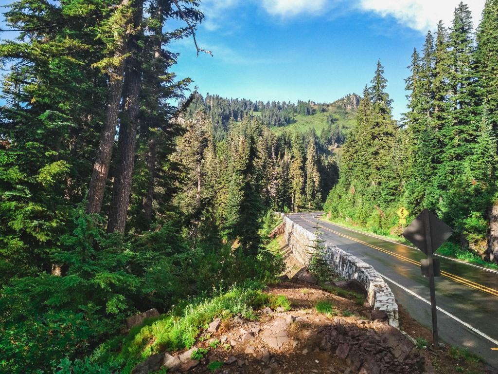 Okanogan-Wenatchee National Forest, Washington with a road surrounded by tall trees and the forest and mountains in the distance on a sunny day. 