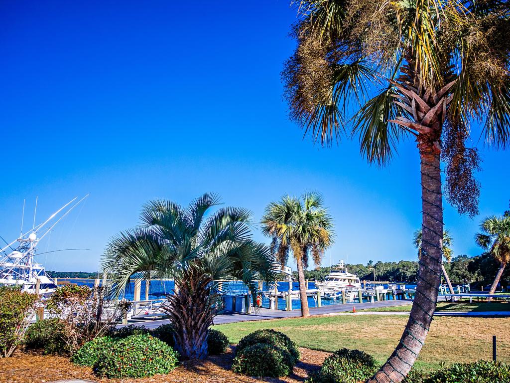 bohiket marina with boats near kiawah island