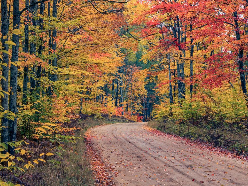 Road through Hiawatha National Forest, Michigan, USA and fall colors, Upper Peninsula of Michigan.