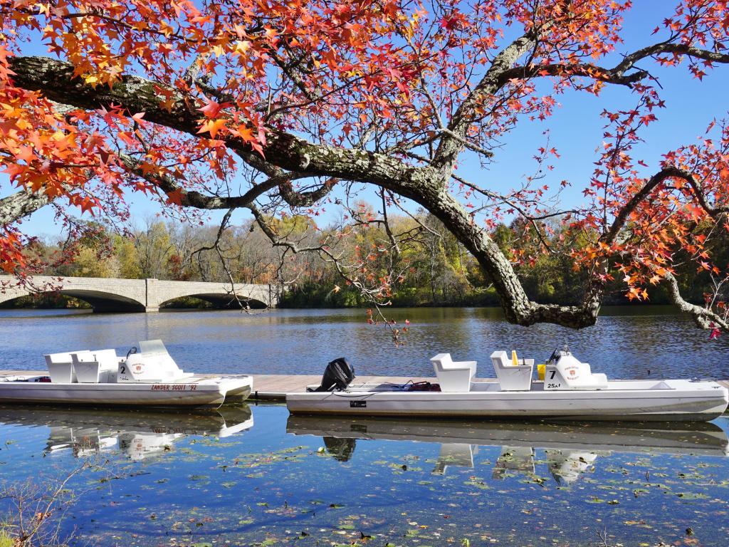 Shea Rowing Center boat house on Lake Carnegie, with fall leaves in the foreground, and boats along waters edge, Princeton University, New Jersey