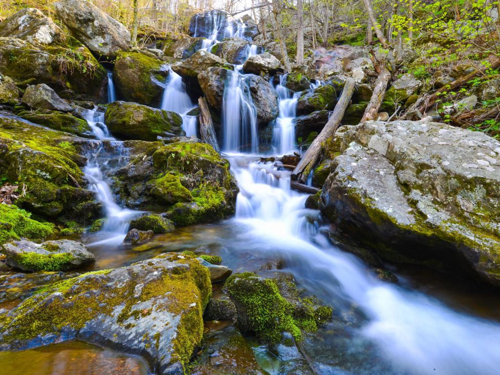 Shenandoah National Park, VA, USA taken at Dark Hollow Falls, a waterfall cascading over large rocks.