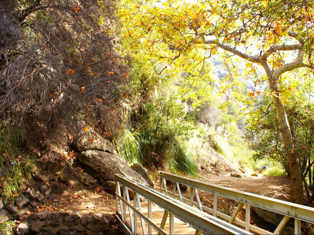 Topanga State Park, California, USA with a bridge and trees during fall.
