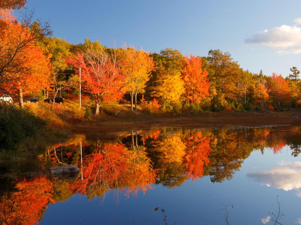 Trees in fall colors reflected in the water