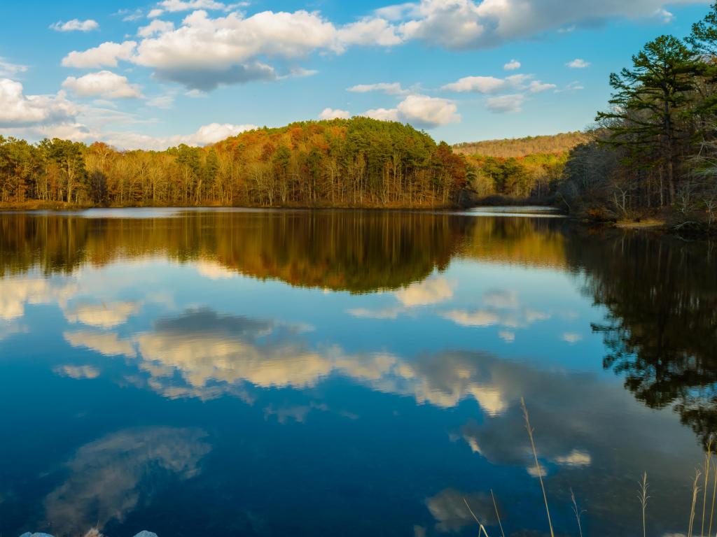 Oak Mountain State Park, USA taken on a sunny fall day with a large lake in the foreground and trees in the background.