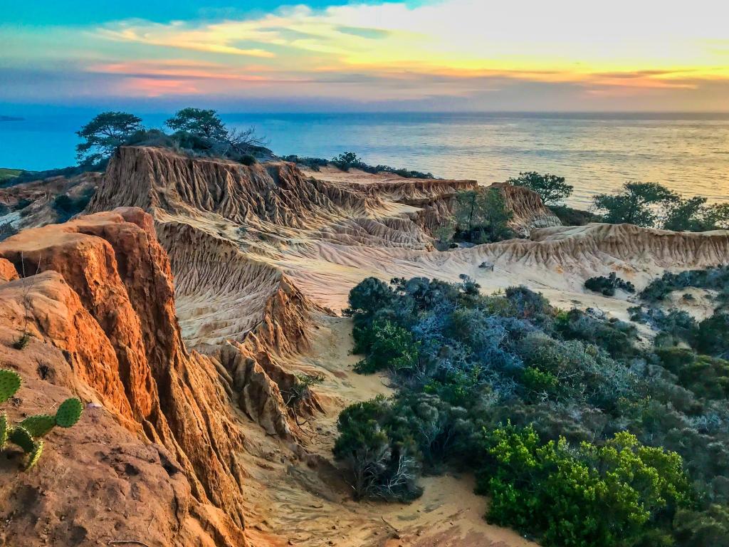 Sunset across the ocean in the background at Broken Hill, Torrey Pines State Natural Reserve, San Diego, California