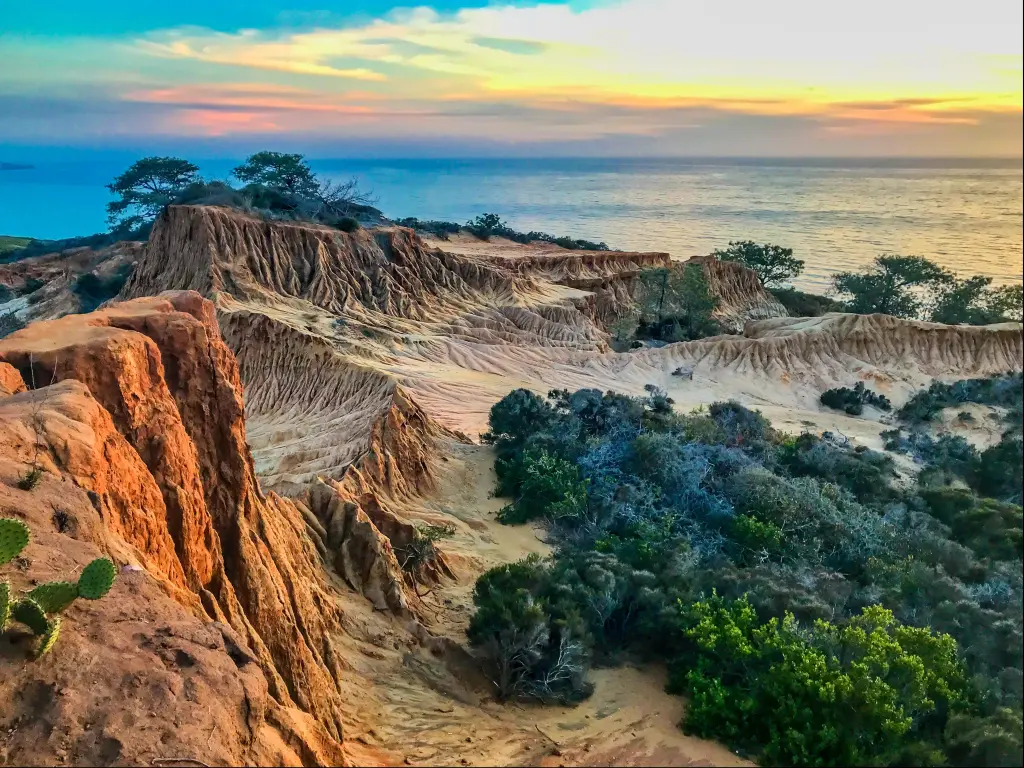 Sunset across the ocean in the background at Broken Hill, Torrey Pines State Natural Reserve, San Diego, California