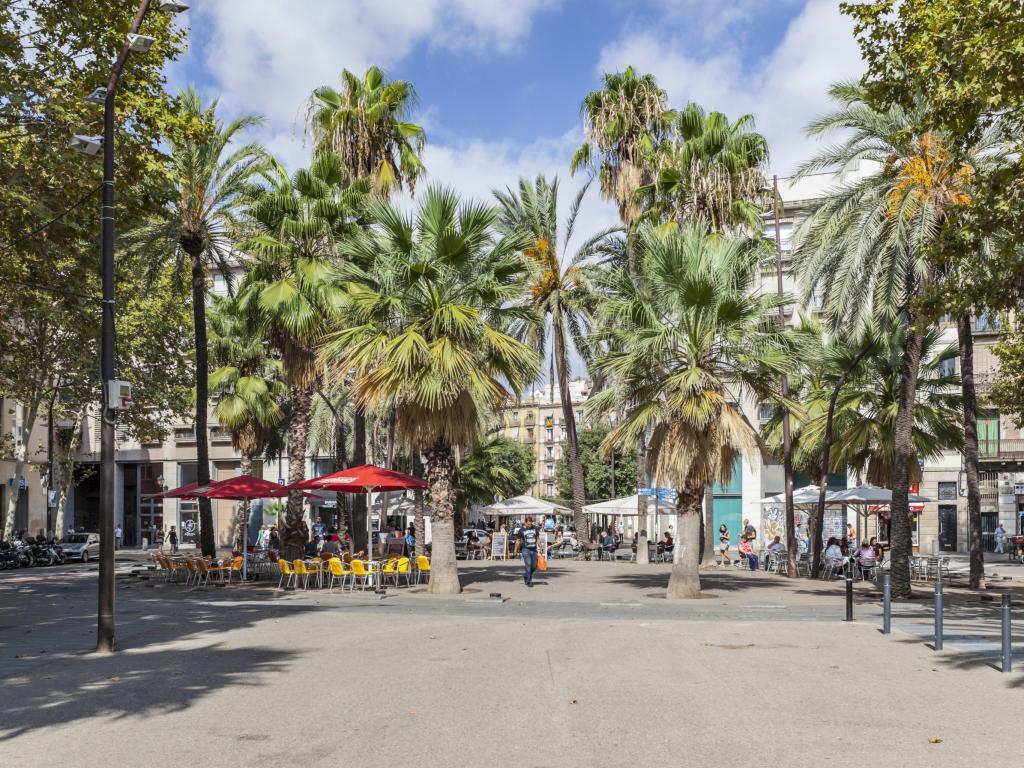 A summer view of Rambla del Raval, Ciutat Vella district, Raval quarter. Barcelona