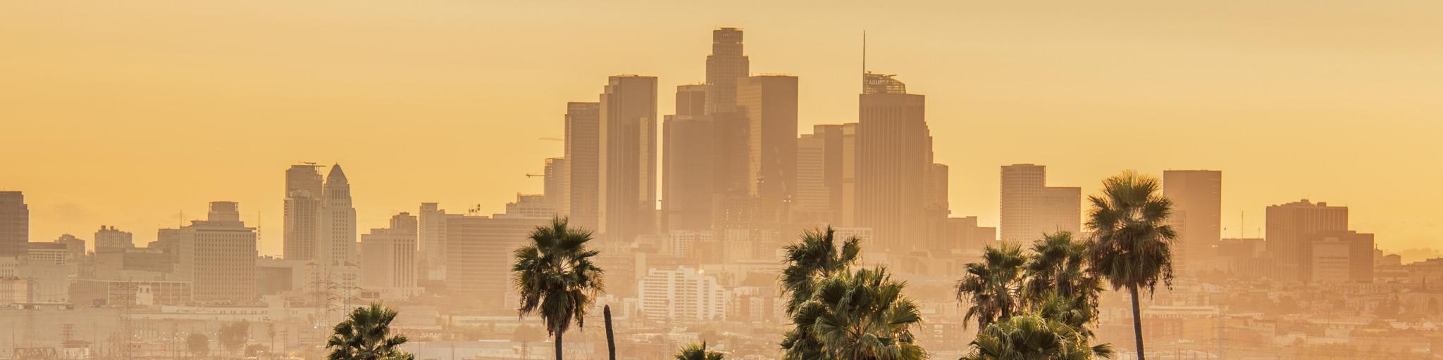 Los Angeles Skyline During Golden Hour with palm trees in the foreground.