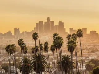 Los Angeles Skyline During Golden Hour with palm trees in the foreground.