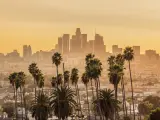 Los Angeles Skyline During Golden Hour with palm trees in the foreground.