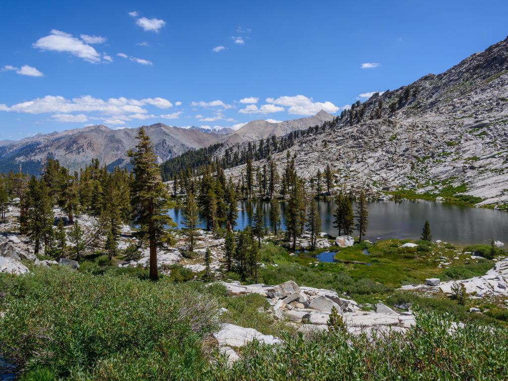 Crystal blue waters surrounded by tall trees on a summer's day at Mosquito Lake, Sequoia National Park, California