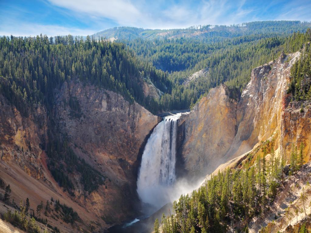 A waterfall cascades from the wooded mountains of Yellowstone National Park