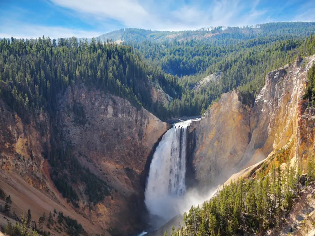 A waterfall cascades from the wooded mountains of Yellowstone National Park