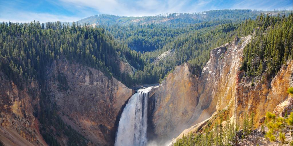 A waterfall cascades from the wooded mountains of Yellowstone National Park