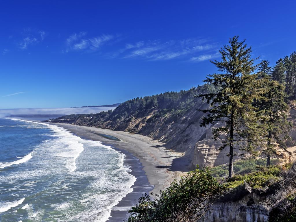 Waves rolling in along Agate Beach on a foggy morning in Patrick's Point State Park,California