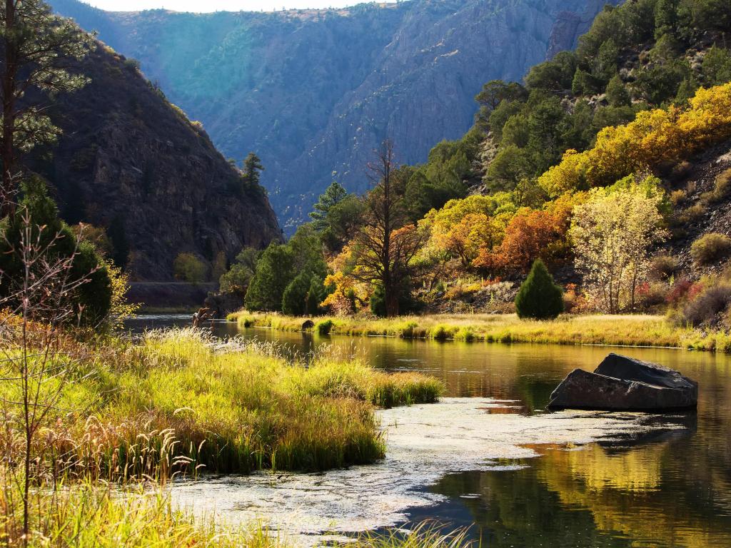 Black Canyon of the Gunnison park in Colorado, USA with a river between mountains, trees and grasses on a sunny day.
