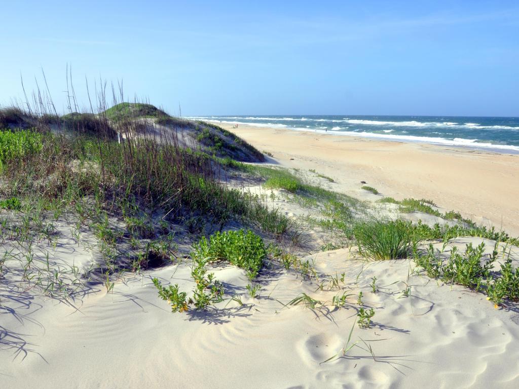 Sand Dune in Outer Banks, North Carolina, USA