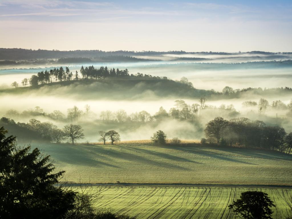 Surrey Hills, Surrey, UK with a stunning winter morning scene at Newland's Corner in the North Downs with fog in the valley. Countryside landscape in the Surrey Hills Area of Natural Beauty, UK.