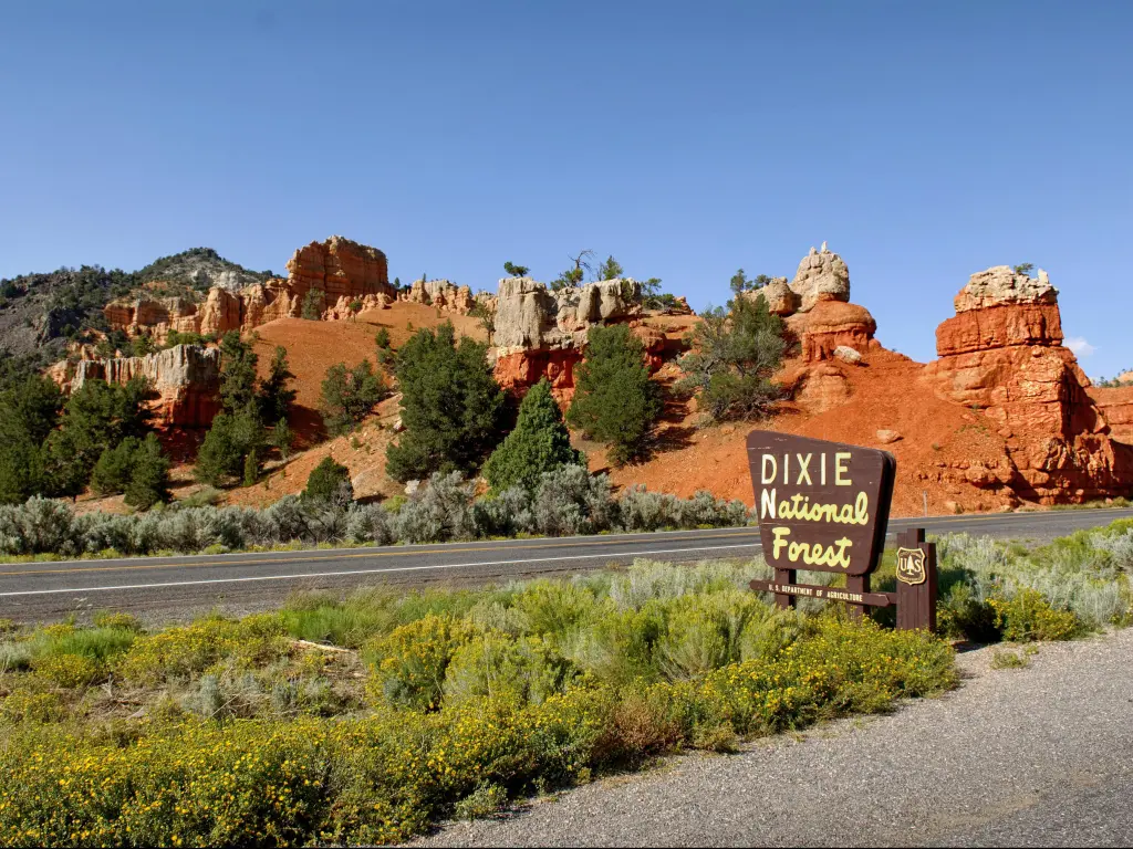 Dixie National Forest sign with the Red Canyon in the background on a sunny day.