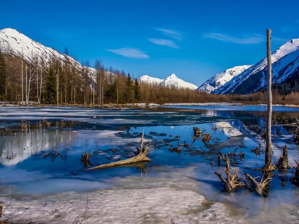 Partially Frozen Lake with Mountain Range Reflected in the Great Alaskan Wilderness