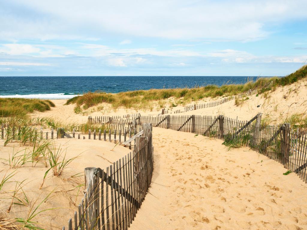 Cape Cod, Massachusetts, USA with a path way to the beach surrounded by sand dunes on a sunny day.