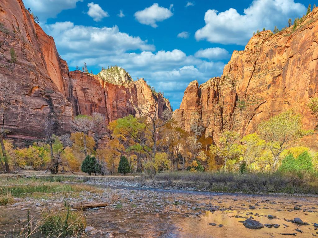Zion National Park, Utah, USA with a beautiful landscapes and views of incredibly picturesque rocks and mountains taken on a sunny day with a stream in the foreground.