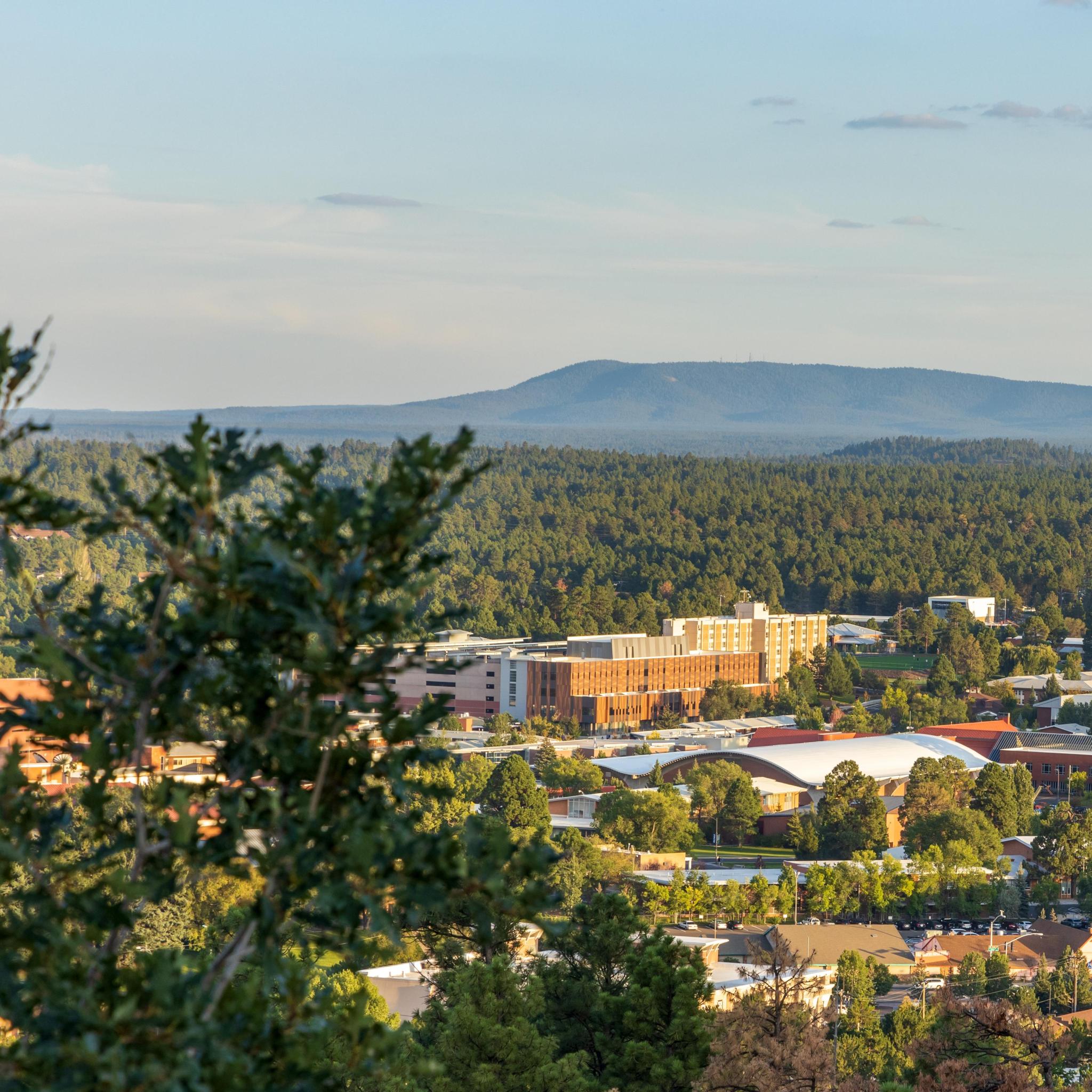 Flagstaff: our favorite places to stay