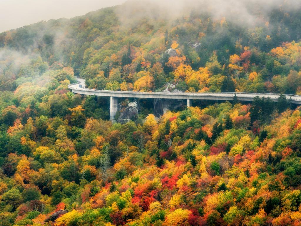 Autumn on the Blue Ridge Parkway at the Linn Cove Viaduct with Fog.