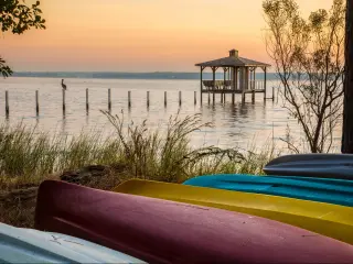 A lone brown pelicanon a post at sunset with colorful canoes on the shore of Mobile Bay, at Fairhope Alabama, USA.