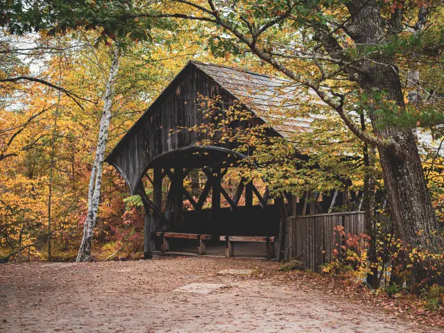 A beautiful wooden covered bridge framed by tall trees in the forest