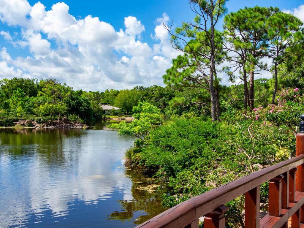 Japanese Gardens, Delray Beach, Florida with a stunning lake surrounded by the tree lined gardens with wooden bridge in the foreground.