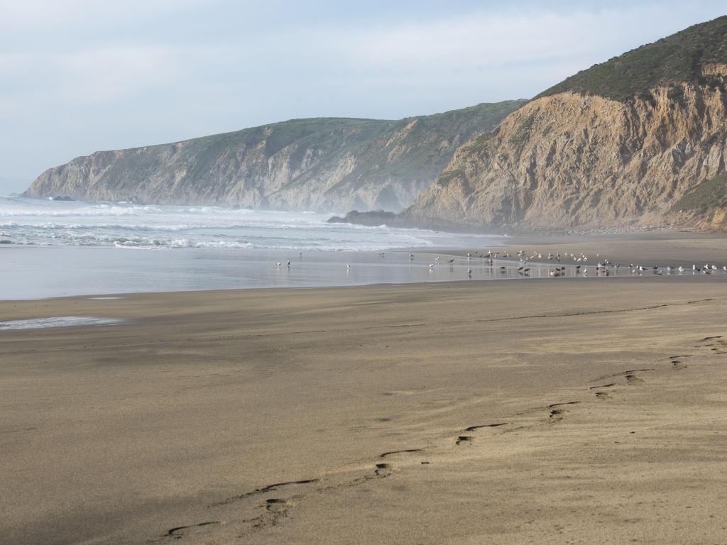 Misty morning on the beach with cliff in the background