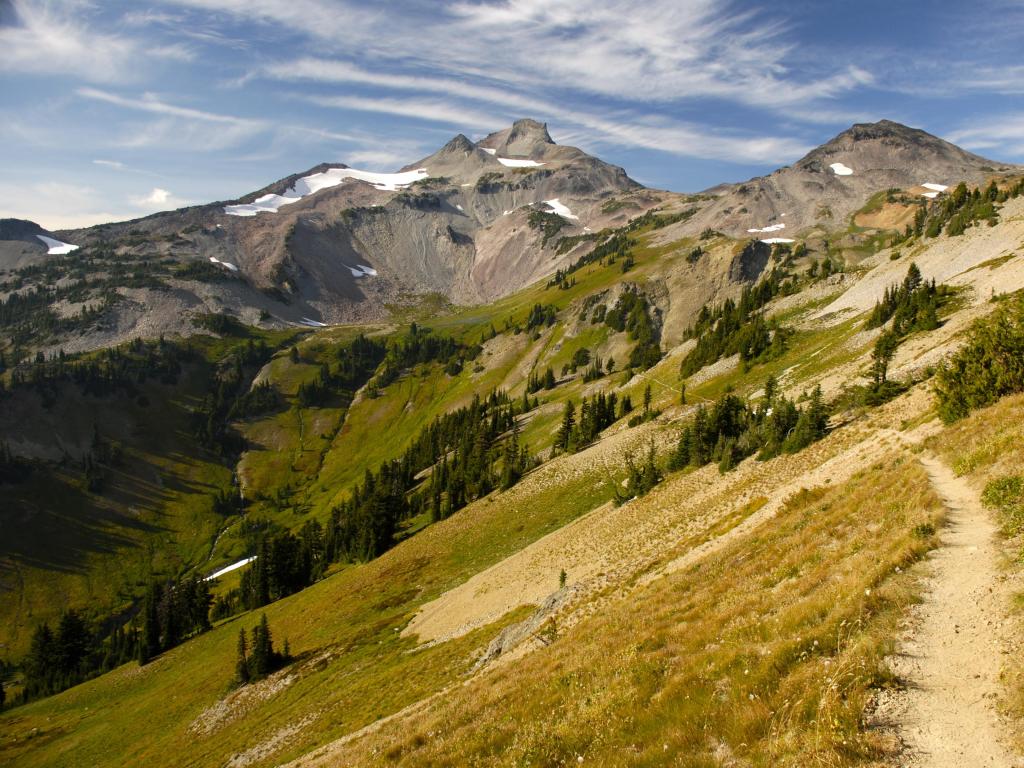 The Pacific Crest Trail, Washington, USA with a trail winding through Cispus Basin in Washington's Goat Rocks Wilderness, taken on a sunny day.