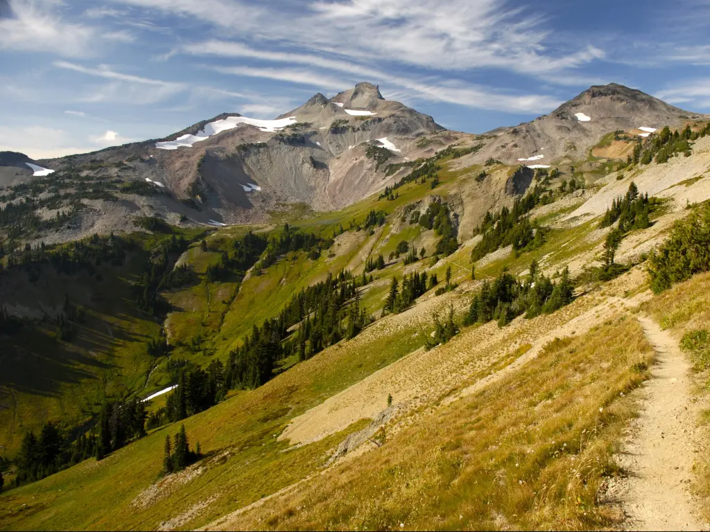 The Pacific Crest Trail, Washington, USA with a trail winding through Cispus Basin in Washington's Goat Rocks Wilderness, taken on a sunny day.