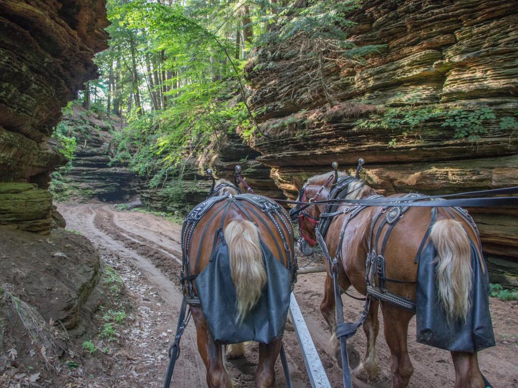 The Lost Canyon is a Hidden Gem of the Wisconsin Dells with Horse Rides through a Scenic Gorge