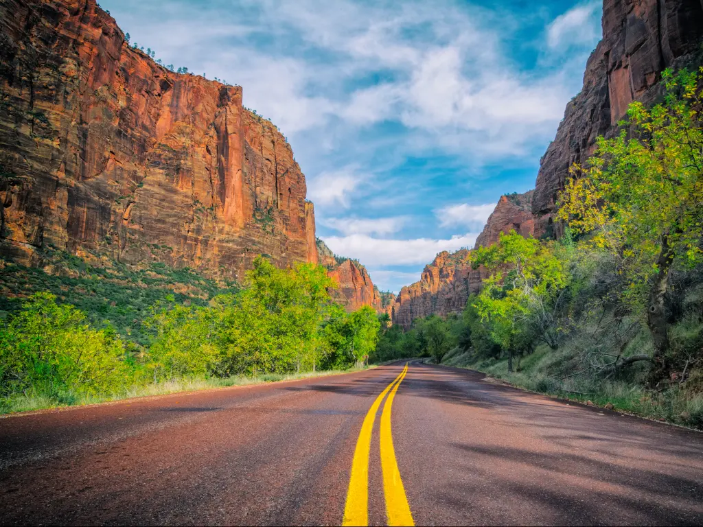 An image that shows a road with grasses and some trees at Zion Canyon on a sunny day.