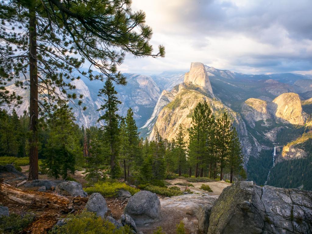 View over mountains with rocks and pine trees in the foreground.